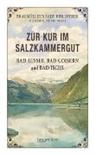 Julius Löcker - Zur Kur im Salzkammergut