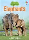 James Maclaine, John Francis - Elephants