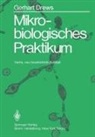Gerhart Drews - Mikrobiologisches Praktikum