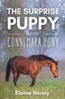 Elaine Heney - The Surprise Puppy and the Connemara Pony - The Coral Cove Horses Series