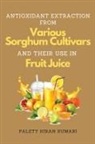 Palety Kiran Kumari - Antioxidant Extraction From Various Sorghum Cultivars and Their Use in Fruit Juice