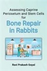 Ravi Prakash Goyal - Assessing Caprine Periosetum and Stem Cells for Bone Repair in Rabbits