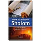 Heiko Bräuning, Bräuning  Heiko - Mehr als Frieden: Shalom