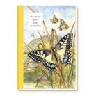 Trötsch Verlag, Trötsch Verlag - Trötsch Sachbuch Die großartige Welt der Insekten