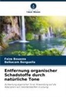 Belkacem Benguella, Faiza Bouazza - Entfernung organischer Schadstoffe durch natürliche Tone