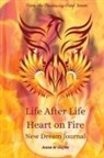 Anna M Hayes - Life After Life Heart On Fire New Dream Journal