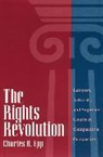 Charles R. Epp, Epp Charles R. - The Rights Revolution