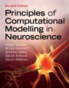Gaute Einevoll, Gaute (Norwegian University of Life Sciences (NMBU)) Einevoll, Andrew Gillies, Andrew (Psymetrix Limited) Gillies, Gillies Andrew, Bruce Graham... - Principles of Computational Modelling in Neuroscience