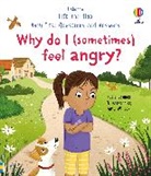Katie Daynes, Daynes Katie, Amy Willcox, Amy Willcox - Very First Questions and Answers: Why Do I (Sometimes) Feel Angry?