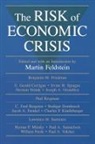 Martin Feldstein - The Risk of Economic Crisis