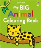 Kate Nolan, Jenny Addison, Jenny (DESIGNER) Addison - My Big Animal Colouring Book