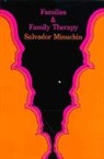 Salvador Minuchin, Minuchin Salvador - Families and Family Therapy