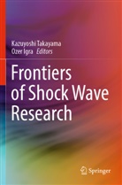 Igra, Ozer Igra, Kazuyoshi Takayama - Frontiers of Shock Wave Research