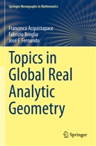 Francesca Acquistapace, Fabrizio Broglia, Fernando, José F. Fernando - Topics in Global Real Analytic Geometry