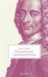 Voltaire, Rainer Bauer - Philosophisches Taschenwörterbuch