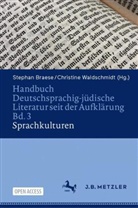Stephan Braese, Waldschmidt, Christine Waldschmidt - Handbuch Deutschsprachig-jüdische Literatur seit der Aufklärung Bd. 3: Sprachkulturen