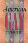 Stephen O. Murray, Murray Stephen O. - American Gay