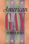 Stephen O. Murray, Murray Stephen O. - American Gay