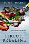 Youdin, Robert Youdin, Robert (Visiting Research Collaborator Youdin, Youdin Robert - Circuit Breaking