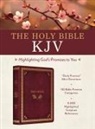 Barbour Bibles, Christopher D Hudson, Christopher D. Hudson - The Holy Bible Kjv: Highlighting God's Promises to You [Crimson & Gold]