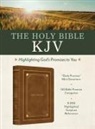 Barbour Bibles, Christopher D Hudson, Christopher D. Hudson - Holy Bible Kjv: Highlighting God's Promises to You [Gold & Camel]