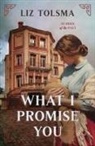 Liz Tolsma - What I Promise You