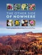 Roy Morey, Roy/ Sansom Morey, David H. Riskind, Andrew Sansom - The Other Side of Nowhere