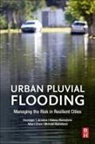 Giuseppe T Aronica, Giuseppe T. Aronica, Albert Chen, Michael Hammond, Natasa Manojlovic - Urban Pluvial Flooding