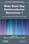 Vincent Consonni, Guy Feuillet, Robert Baptist, Vincent Consonni, Vincent (INP-CNRS Consonni, Guy Feuillet... - Wide Band Gap Semiconductor Nanowires for Optical Devices