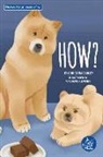 Christina Earley, Anastasia Kleckner - How?