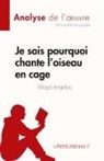 Isabelle Bousquette, Isabelle Bousquette - Je sais pourquoi chante l'oiseau en cage de Maya Angelou (Analyse de l'¿uvre)