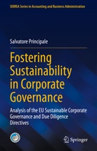 Salvatore Principale - Fostering Sustainability in Corporate Governance