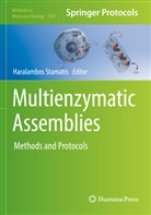Haralambos Stamatis - Multienzymatic Assemblies