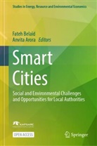 Arora, Anvita Arora, Fateh Belaid, Fateh Belaïd - Smart Cities