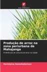 Heriniaina Ramahefarison - Produção de arroz na zona periurbana de Mahajanga