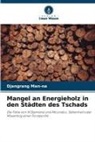Djangrang Man-na - Mangel an Energieholz in den Städten des Tschads