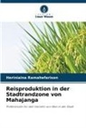 Heriniaina Ramahefarison - Reisproduktion in der Stadtrandzone von Mahajanga
