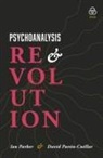Ian Parker, David Pavón-Cuéllar - Psychoanalysis and Revolution