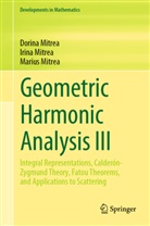 Dorina Mitrea, Irina Mitrea, Marius Mitrea - Geometric Harmonic Analysis III