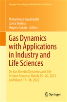 Mohammad Asadzadeh, Larisa Beilina, Shigeru Takata - Gas Dynamics with Applications in Industry and Life Sciences