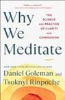 Daniel Goleman, Tsoknyi Rinpoche - Why We Meditate