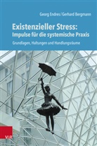 Gerhard Bergmann, Georg Endres - Existenzieller Stress: Impulse für die systemische Praxis