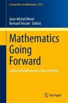 Jean-Michel Morel, Teissier, Bernard Teissier - Mathematics Going Forward