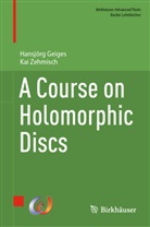Hansjörg Geiges, Kai Zehmisch - A Course on Holomorphic Discs
