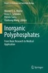 Heinz C Schröder, Werner E. G. Müller, Heinz C. Schröder, Patrick Suess, Patrick Suess et al, Xiaohong Wang - Inorganic Polyphosphates