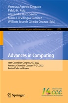 Vanessa Agredo-Delgado, William Joseph Giraldo Orozco, Pablo H Ruiz, Pablo H. Ruiz, Alexandra Ruiz Gaona, Alexandra Ruiz Gaona et al... - Advances in Computing