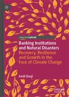 Andi Duqi - Banking Institutions and Natural Disasters