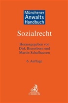 Dunja Barkow von Creytz u a, Dirk Bieresborn, Hermann Plagemann, Martin Schafhausen, Martin Schafhausen u a - Münchener Anwaltshandbuch Sozialrecht