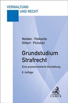 S Dittert, Susanne Dittert, Waltraud Nolden, Waltraud (Dr.) Nolden, Frank Palkovits, Frank Pichocki - Grundstudium Strafrecht