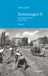 Heinz Lüthi - Strömungen II